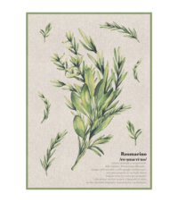 AROMAS TOWEL 50X70 Tellini S.r.l. Wholesale Clothing